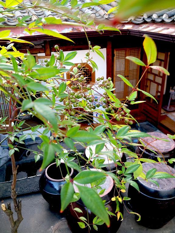 Vine Hanok Guest house