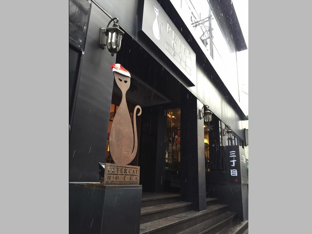 Petercat Shinchon Seoul