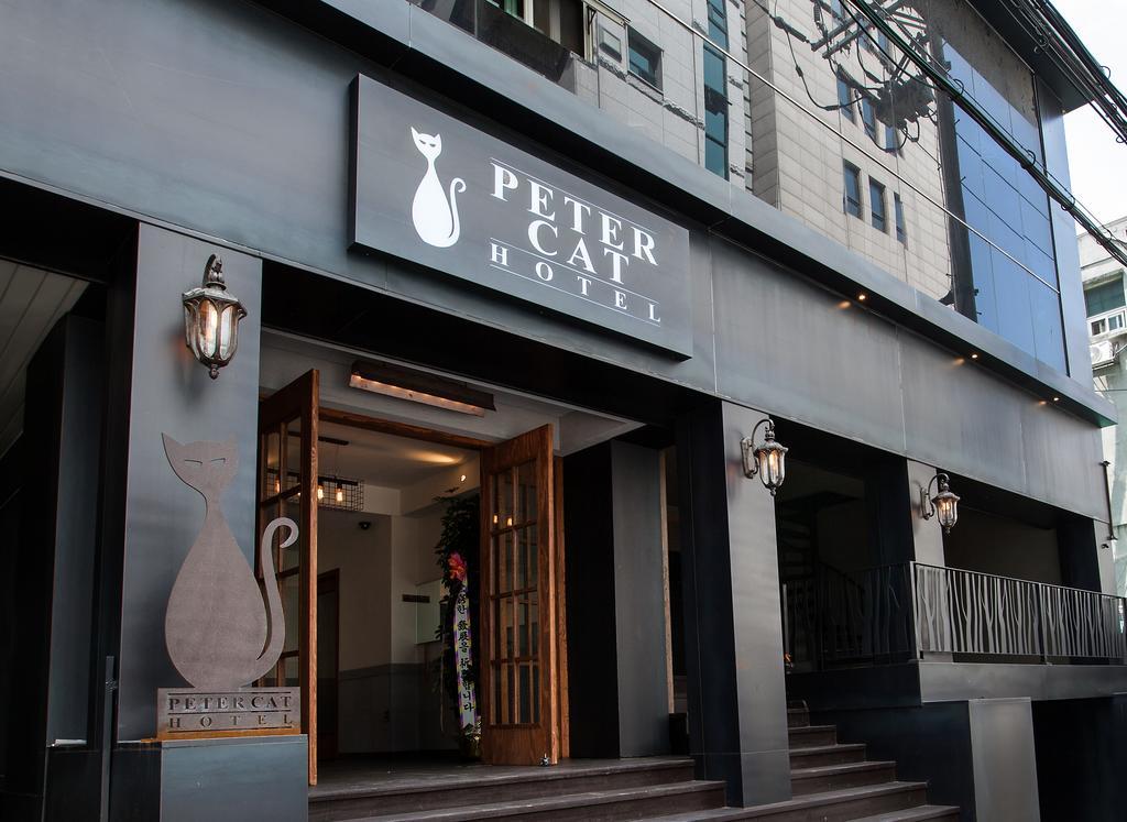 Petercat Shinchon Seoul