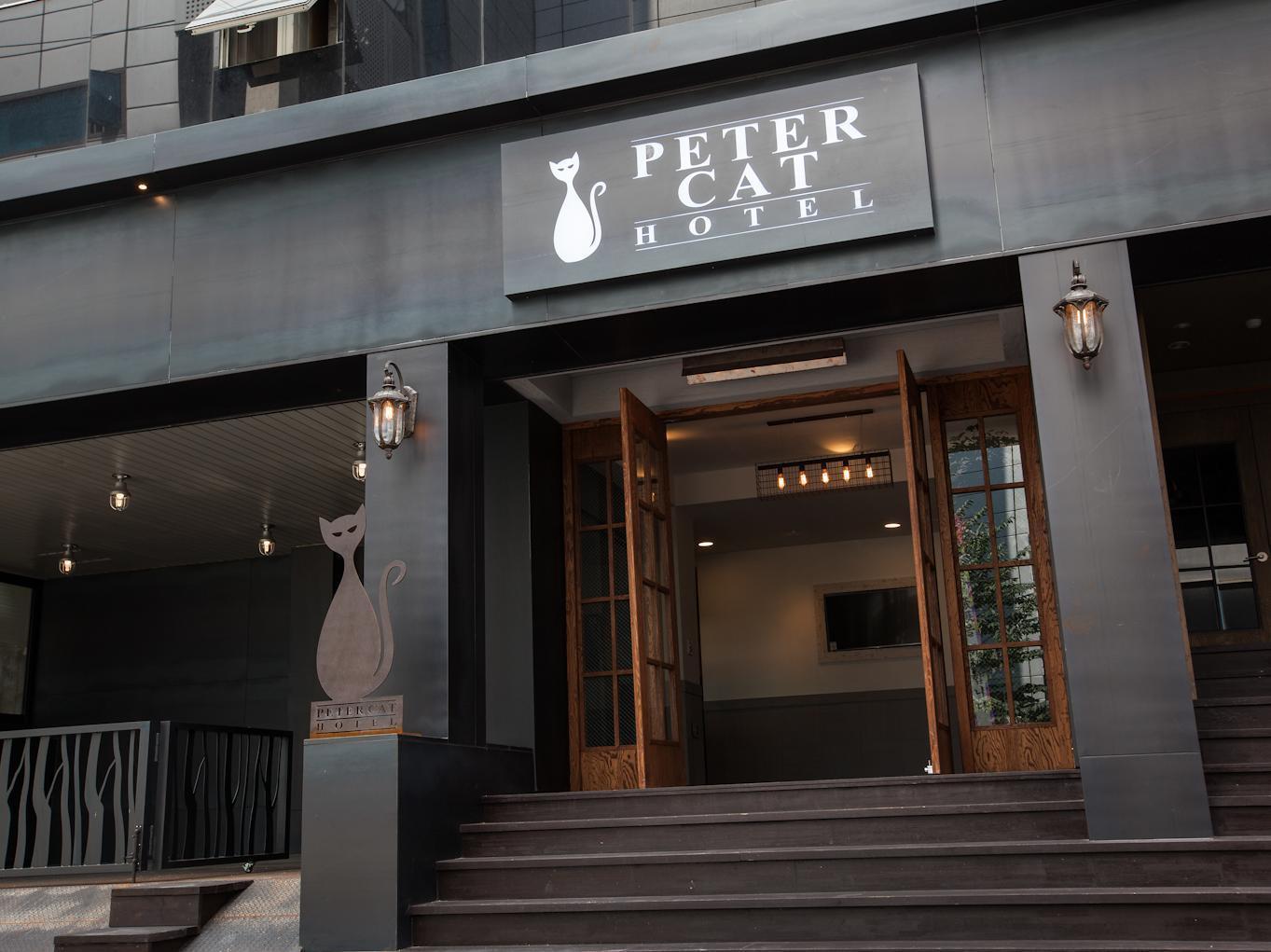 Petercat Shinchon 3* Seoul