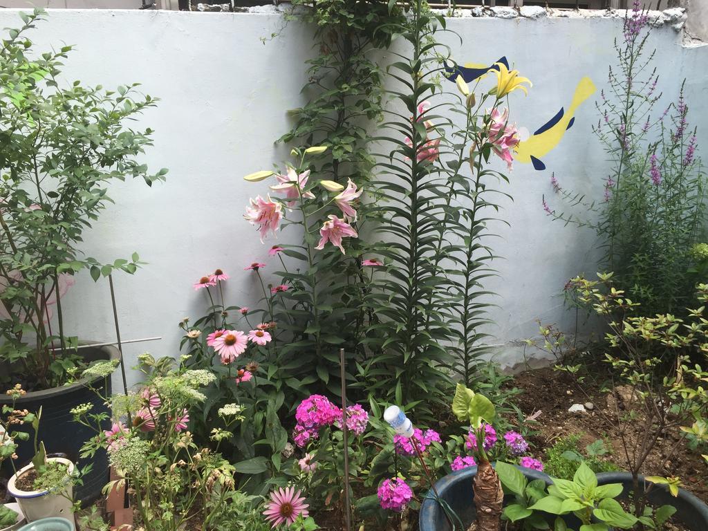 Guest house Duri