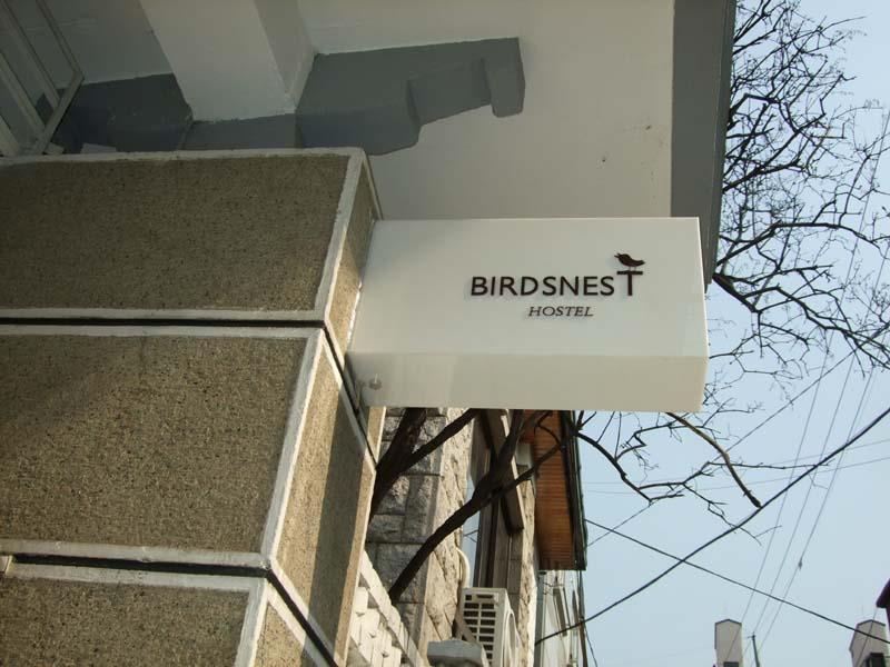 Birdsnest Hongdae Foreigner Only