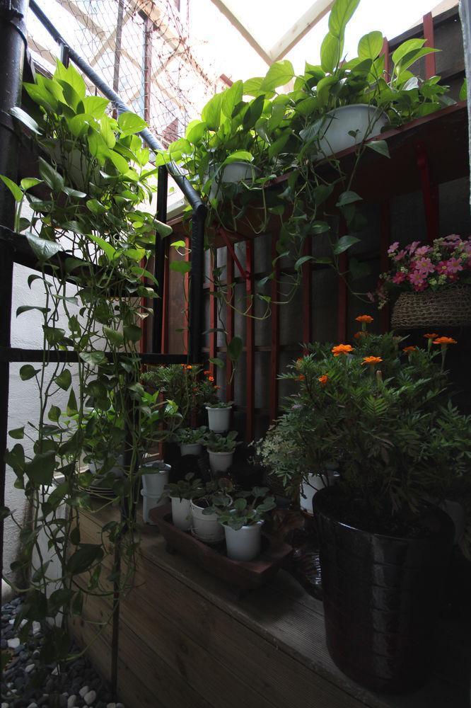 Apple Backpackers * Seoul