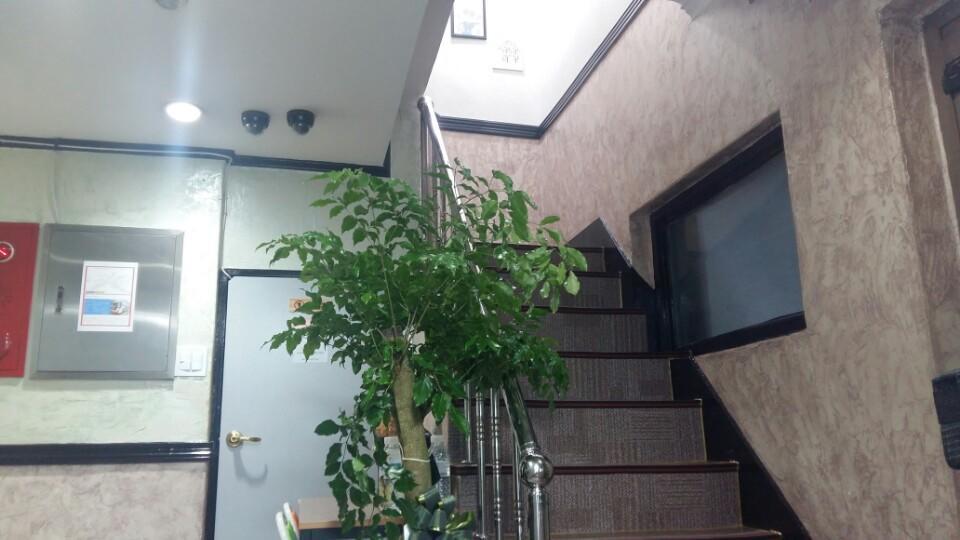 Kimstay Guest house