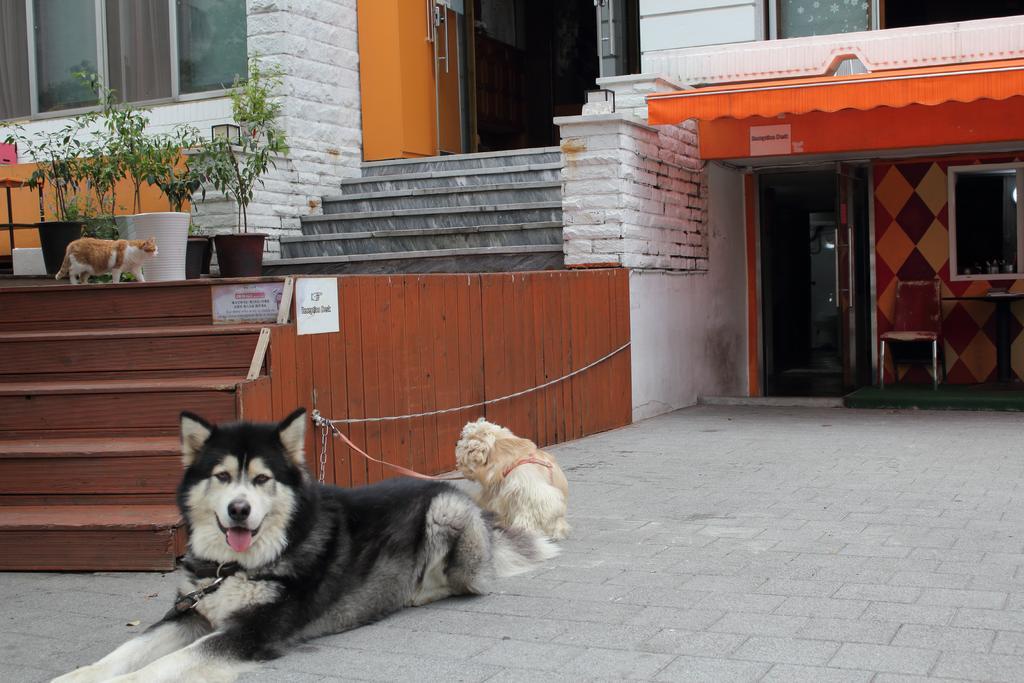 Hongdae Orange Hostel *