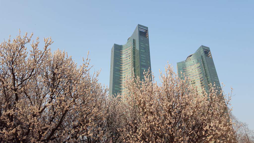 Forest Seoul