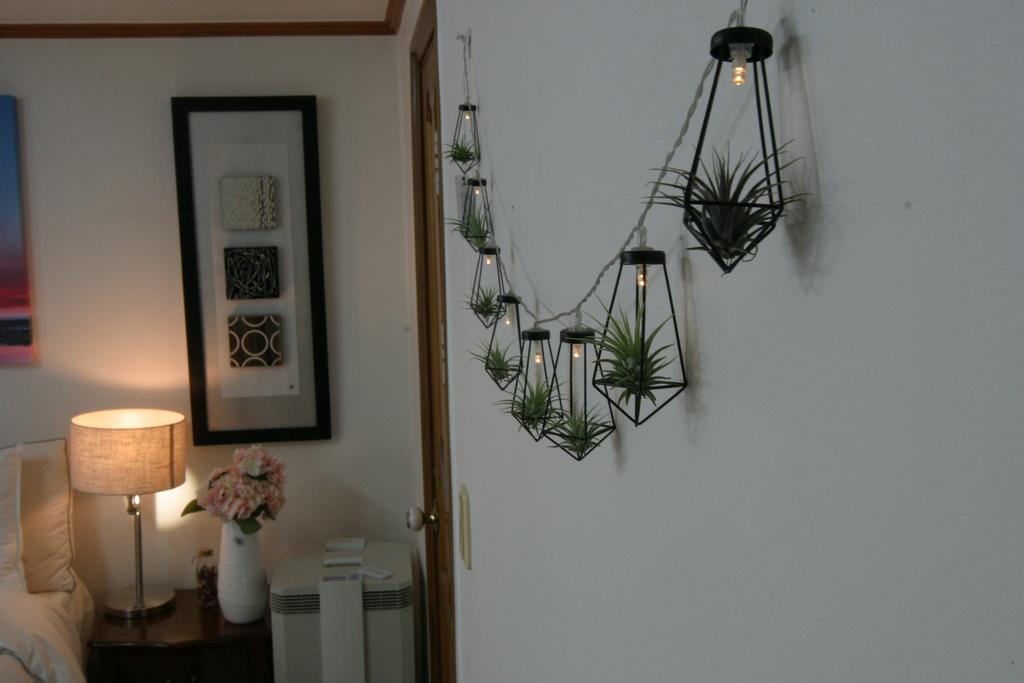 Refee House Seul