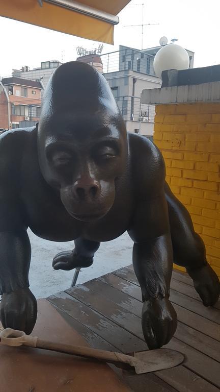 Kingkong