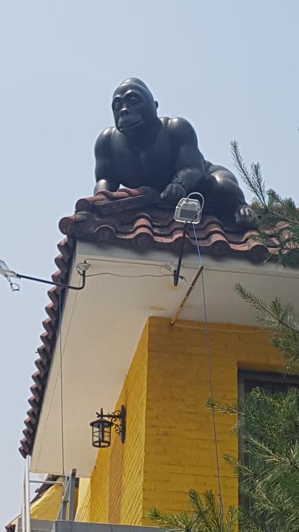 Kingkong Guest house