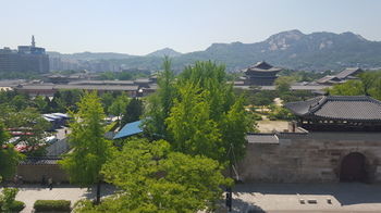 Woo 3* Seoul