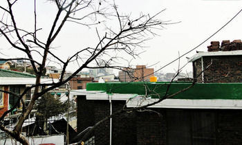 Hotel Cozyplace In Itaewon