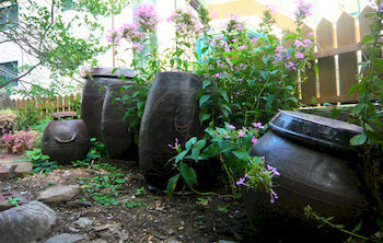 Icos 2 For Female Guest house 2*