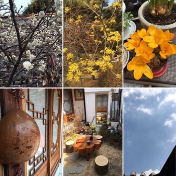 Usimdang Hanok 2* Seoul