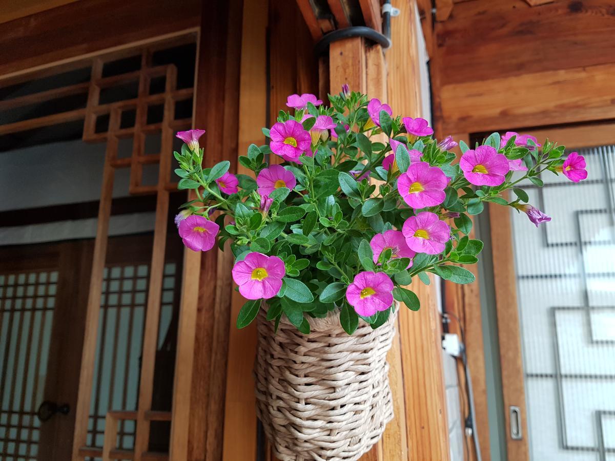 Dajayon Hanok Seul