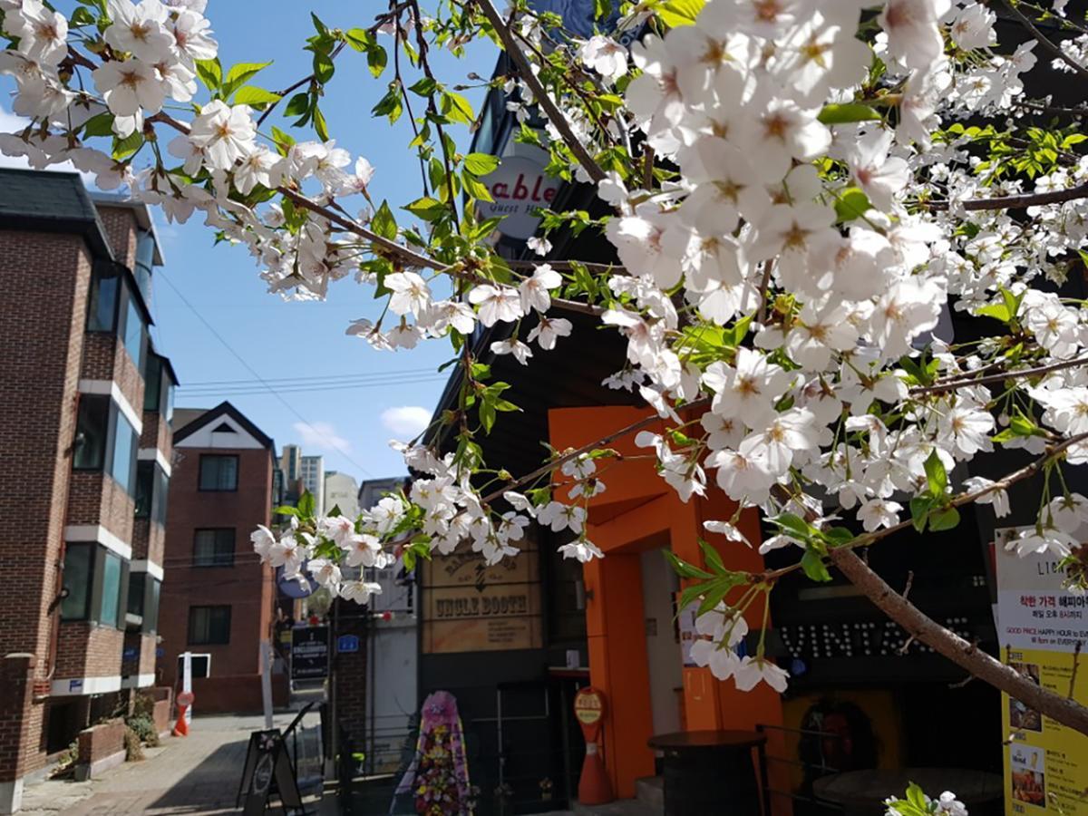 Able Hongdae Hostel