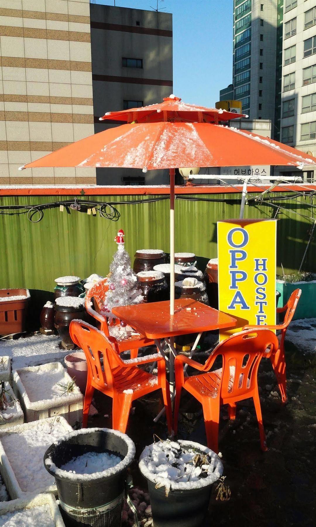 Oppa Hostel *