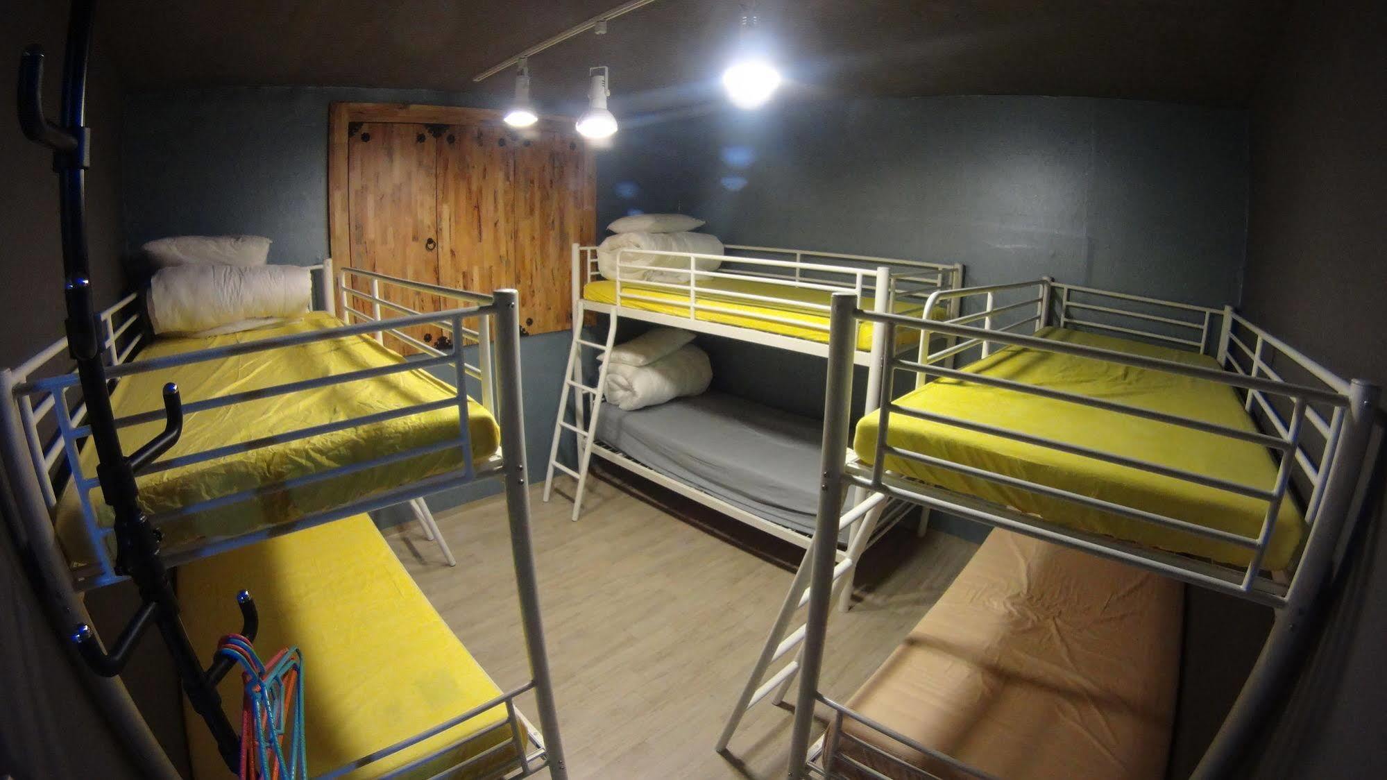 Hotel Owl -
