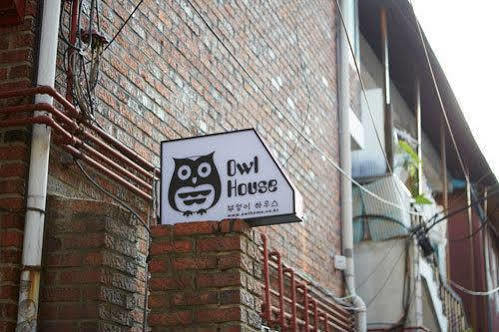 Hotel Owl - 2*