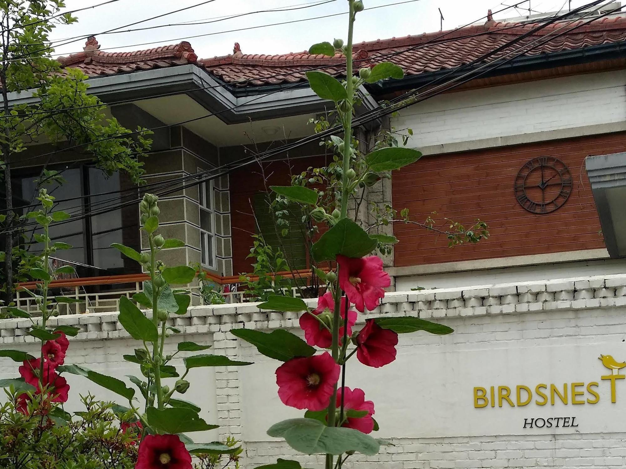Birdsnest Hongdae Foreigner Only Seoul
