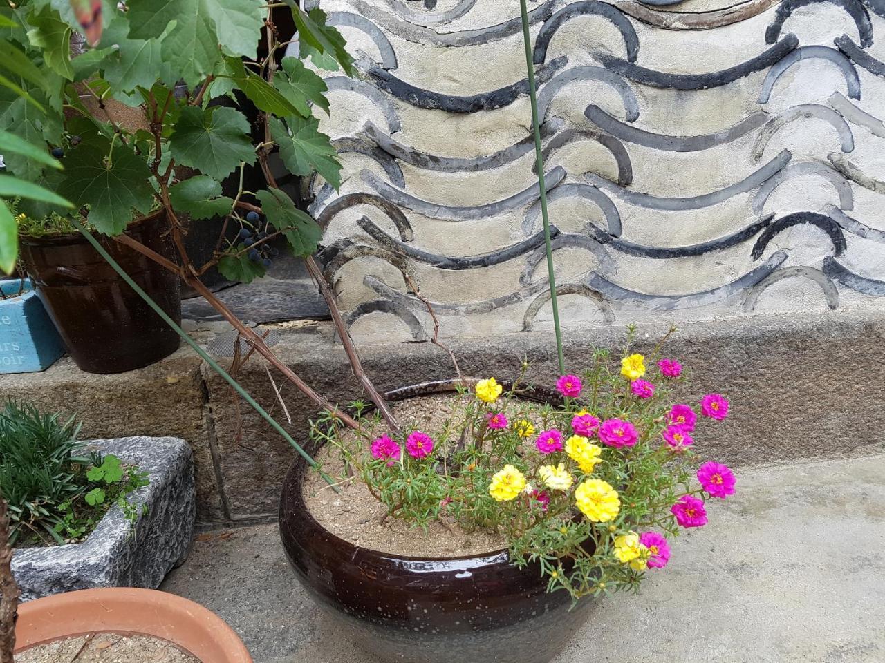 Dajayon Hanok Seul