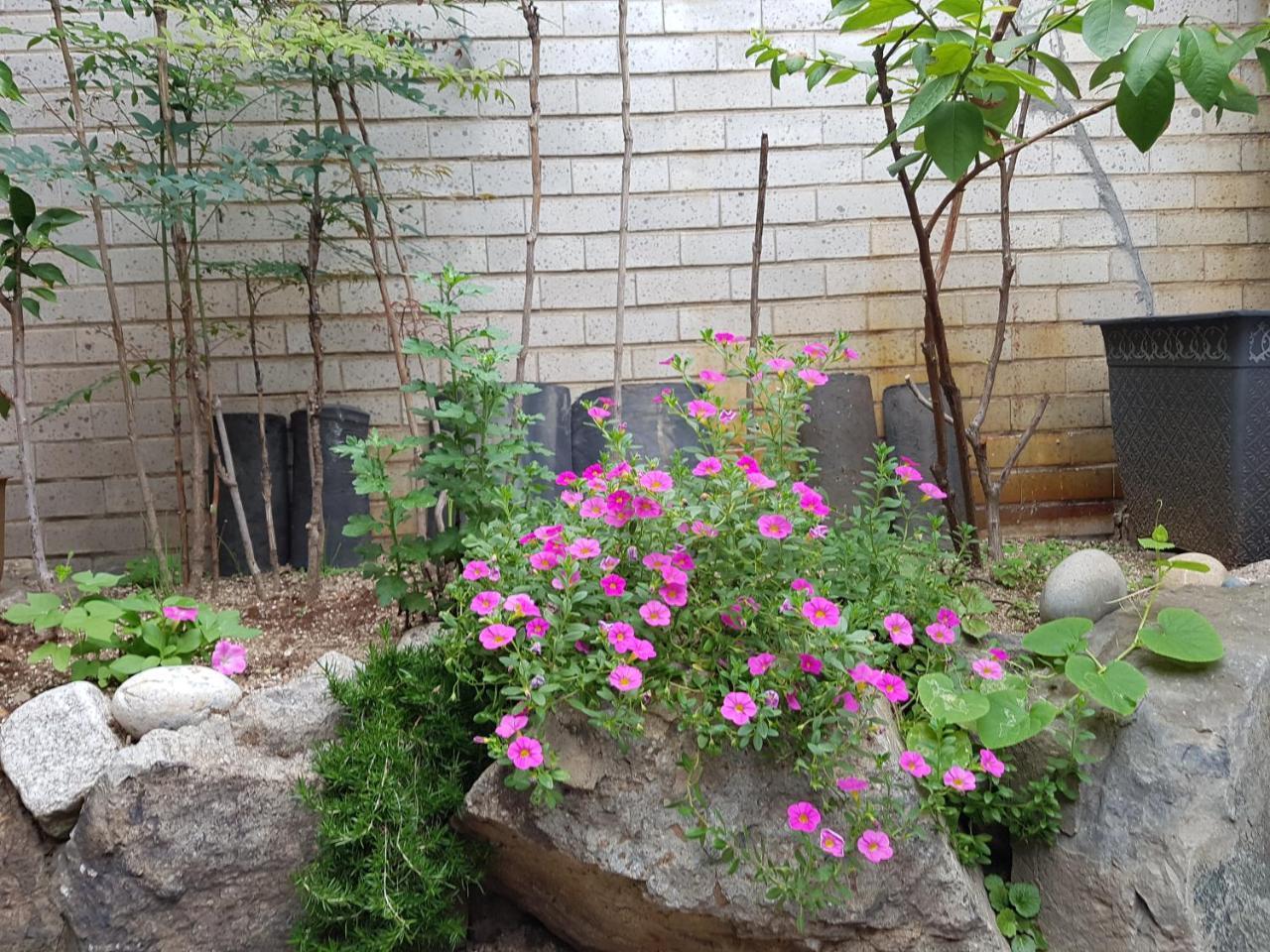 Dajayon Hanok 2*