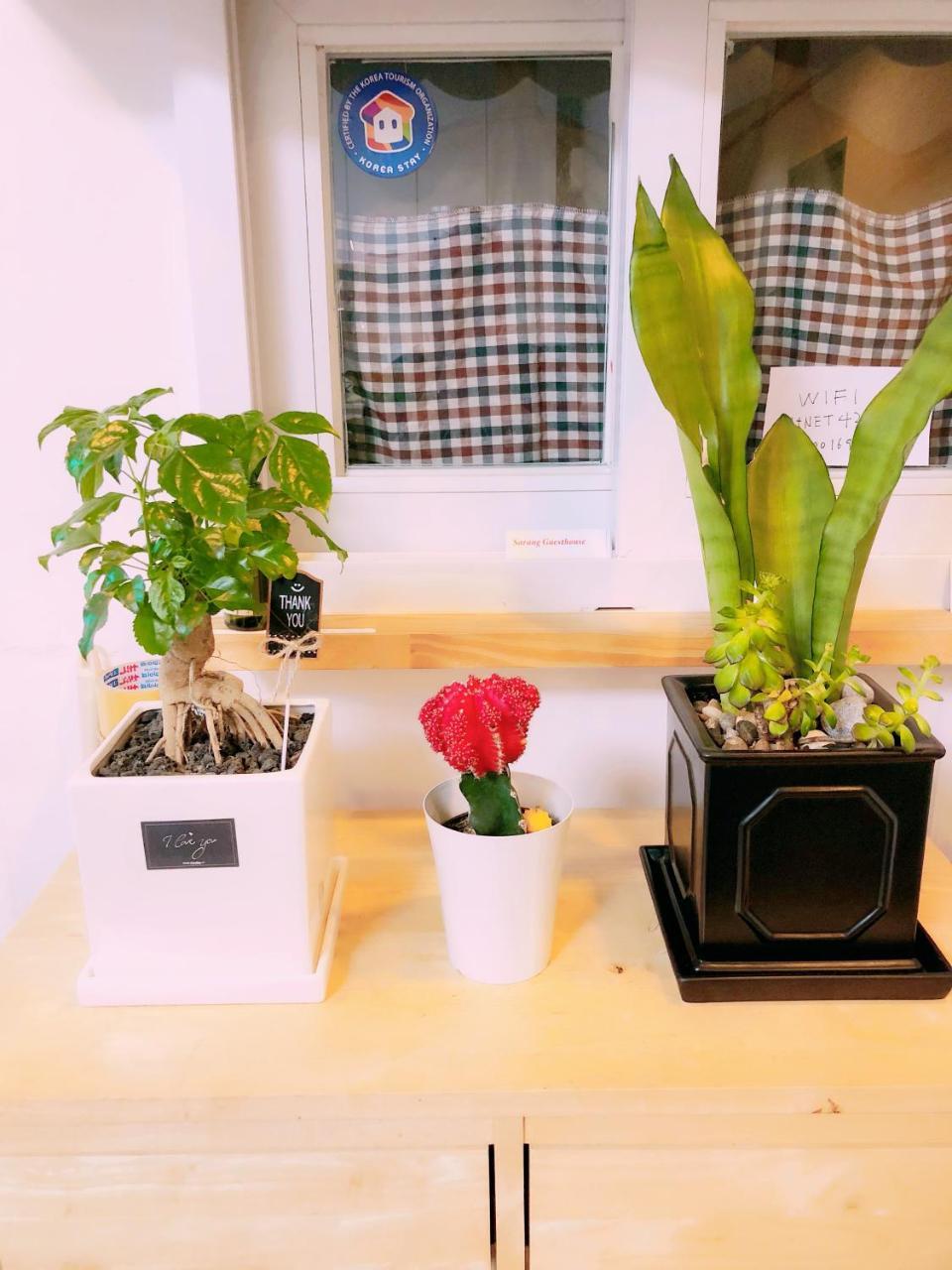 Sarang Dongdaemun Guest house 3*