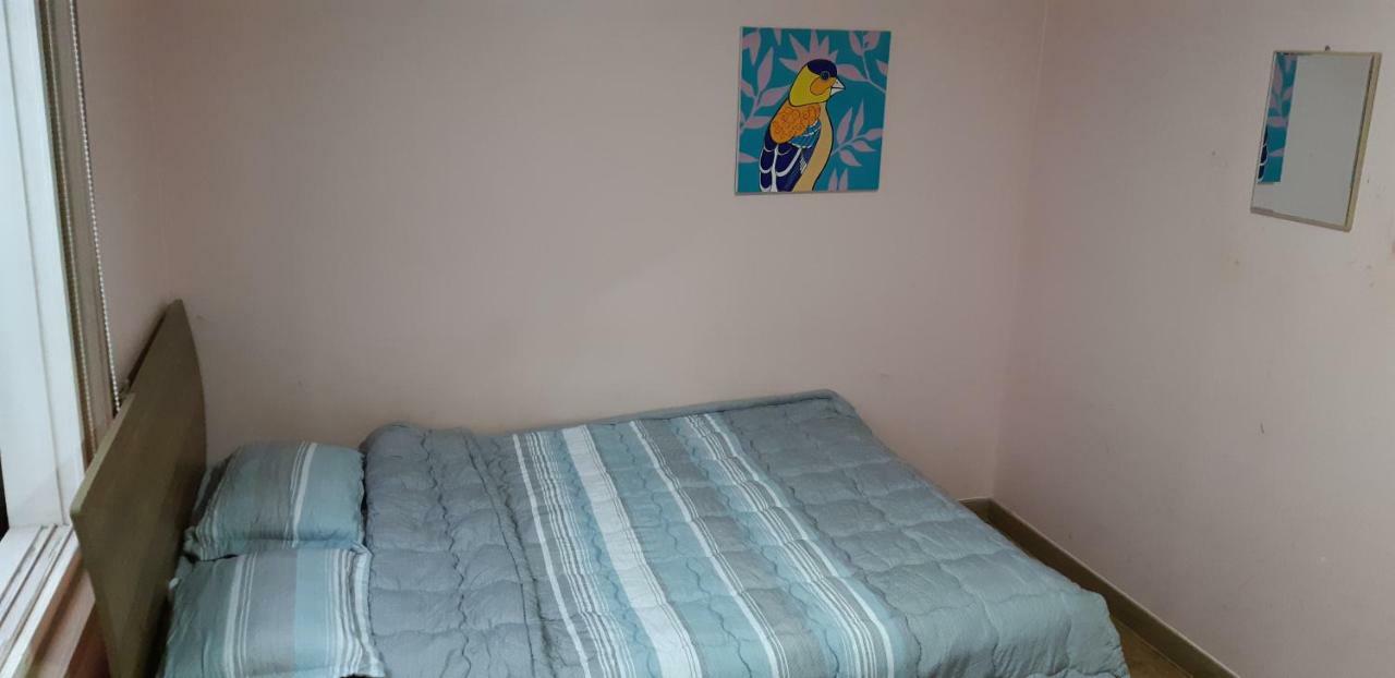 Birdsnest Hongdae Foreigner Only *
