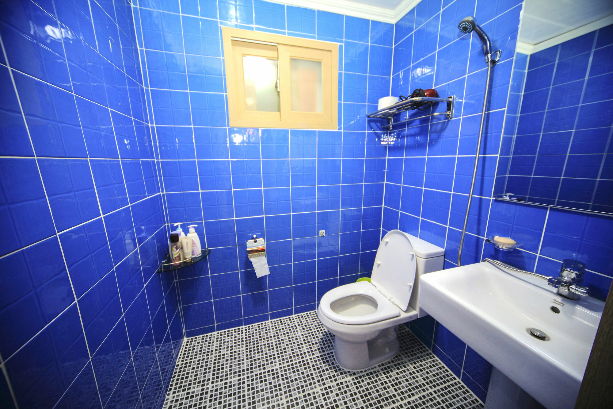 Hotel Homini -