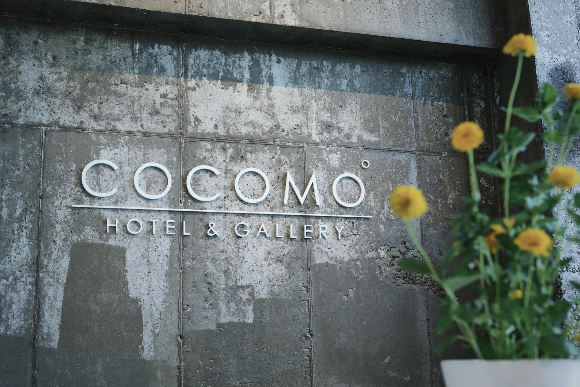 Hotel Cocomo Seoul