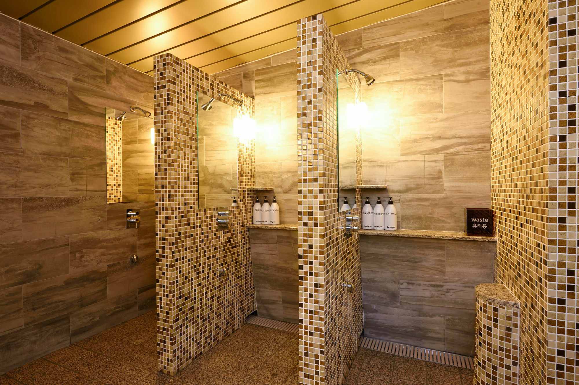 Hotel Dormy Gangnam Seoul