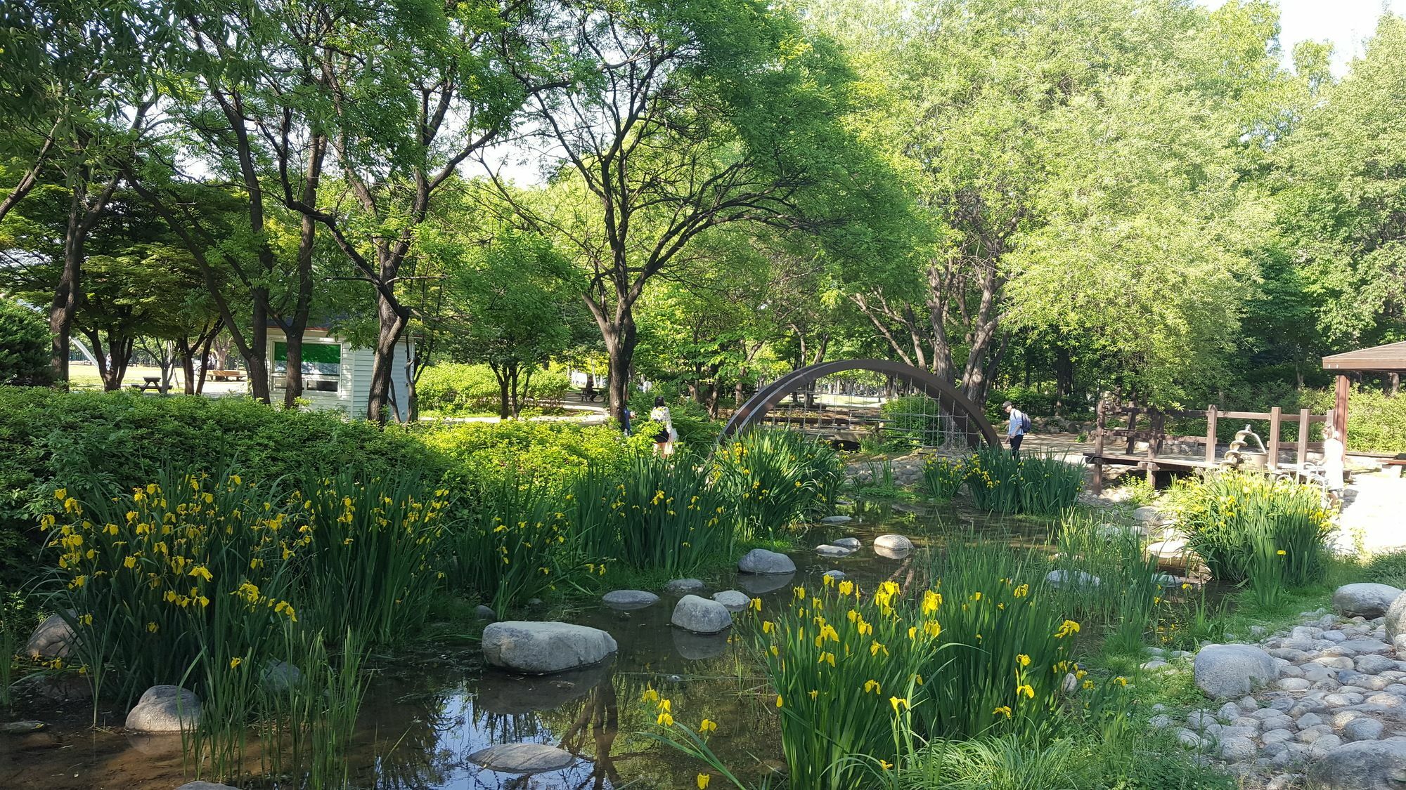 Forest * Seoul