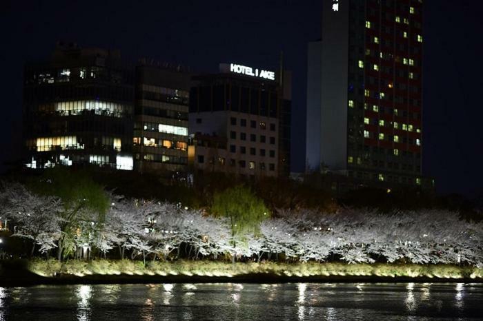 Tourist Hotel