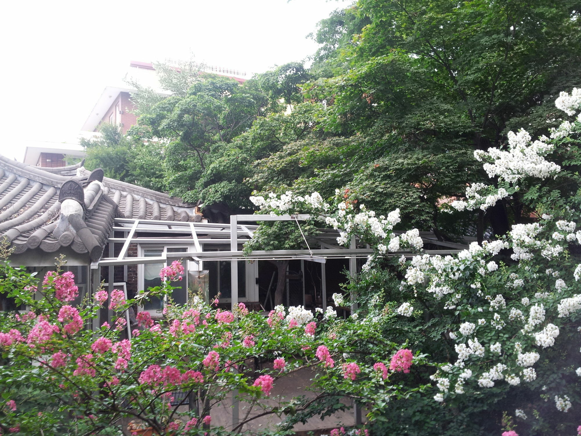 Jiwoljang Casa de hóspedes