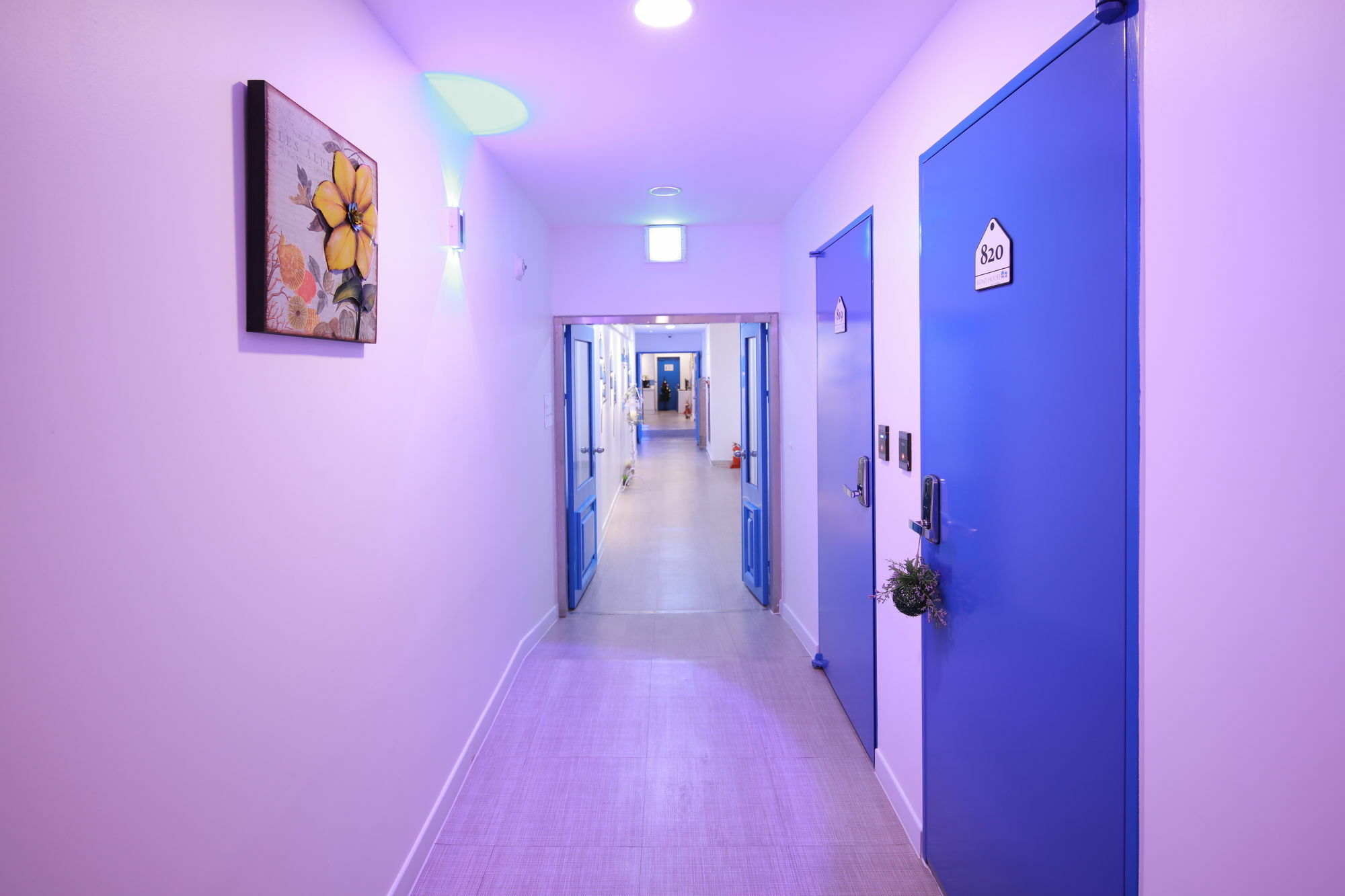 Guest house Road Myeongdong 2*