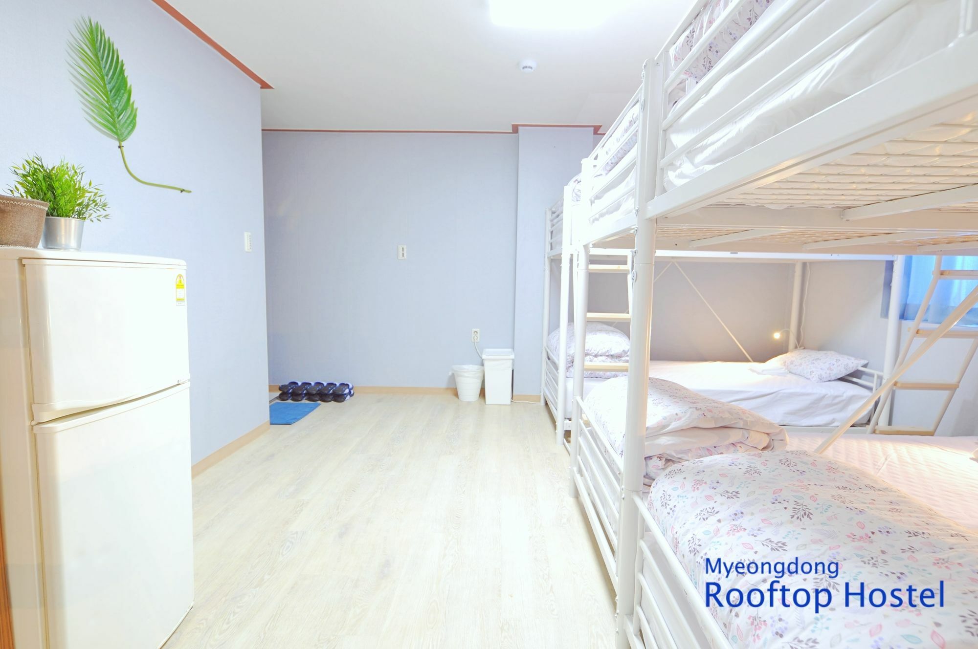 Hostel Myeongdong Rooftop *