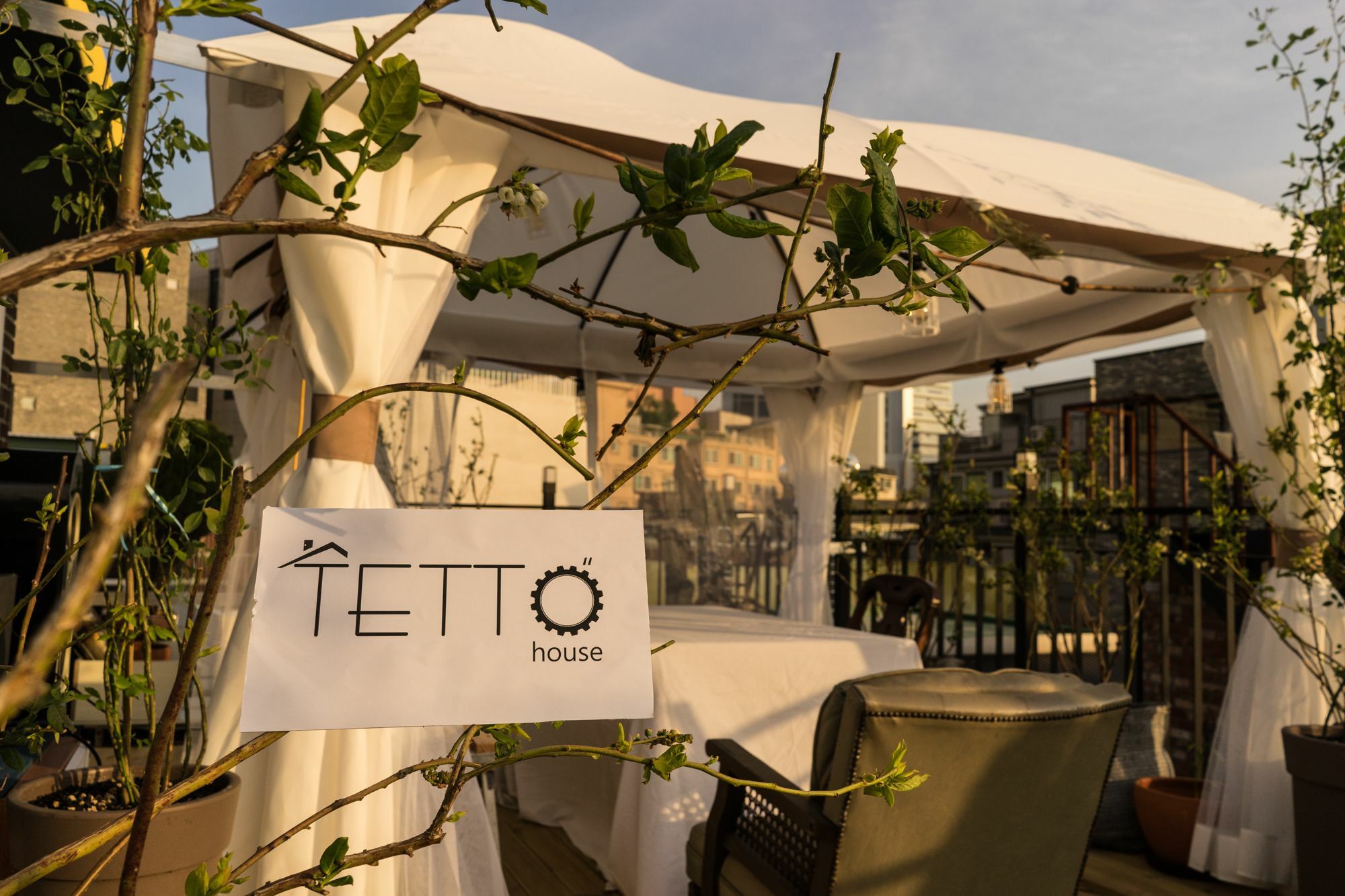 Tetto House Rooftop Garden