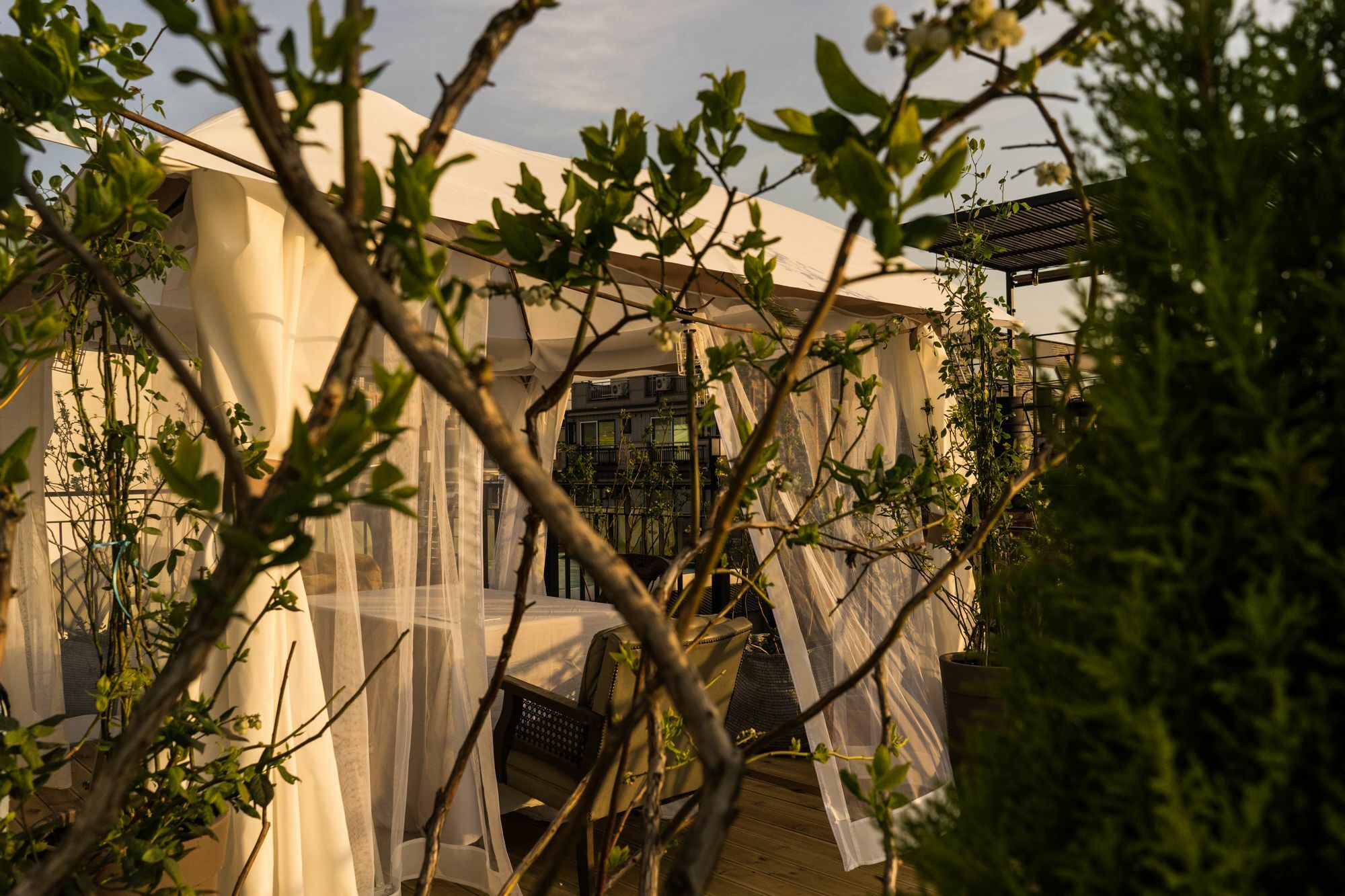Tetto House Rooftop Garden 2*