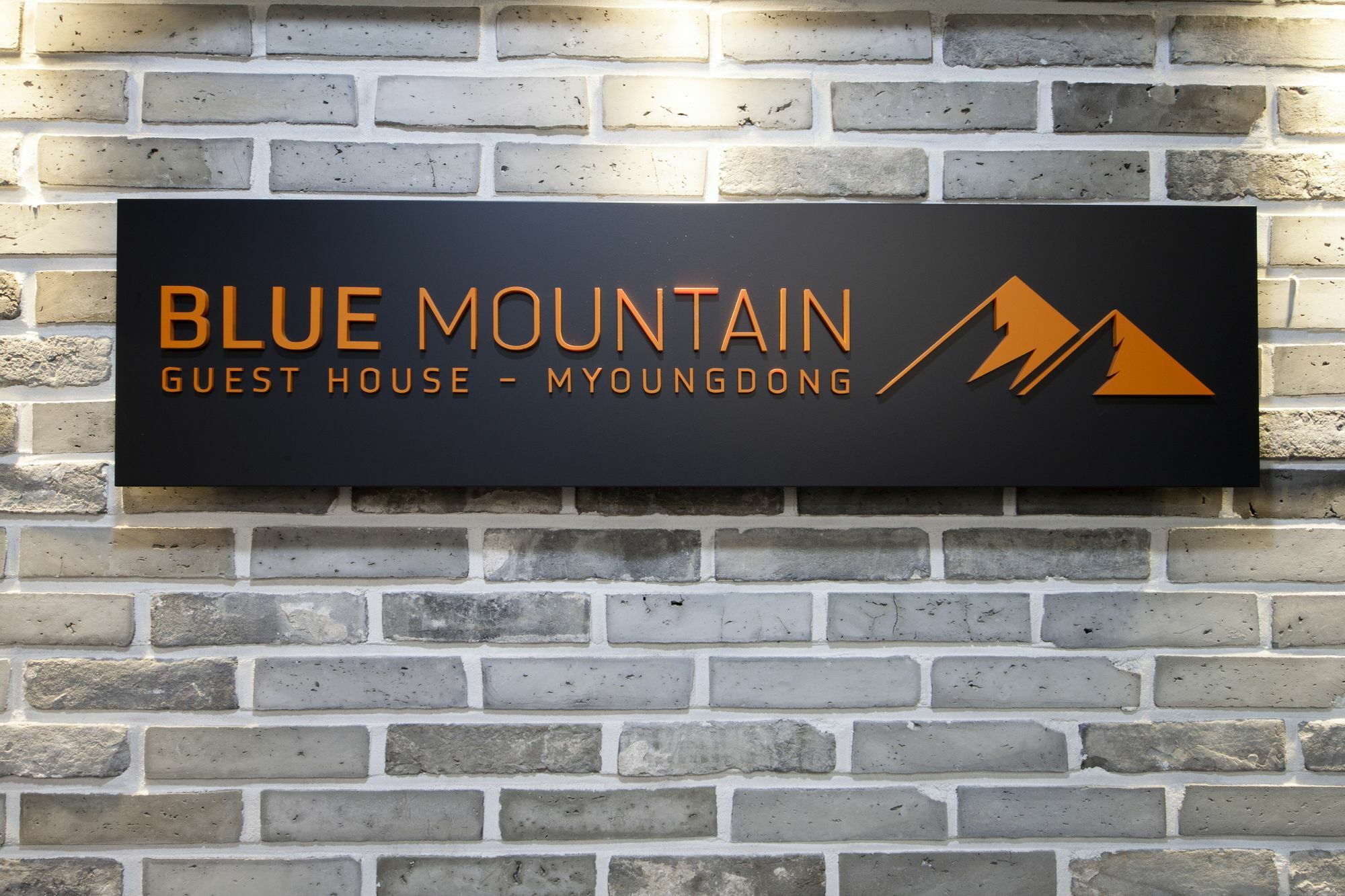 Blue Mountain Myeong-dong Guest house