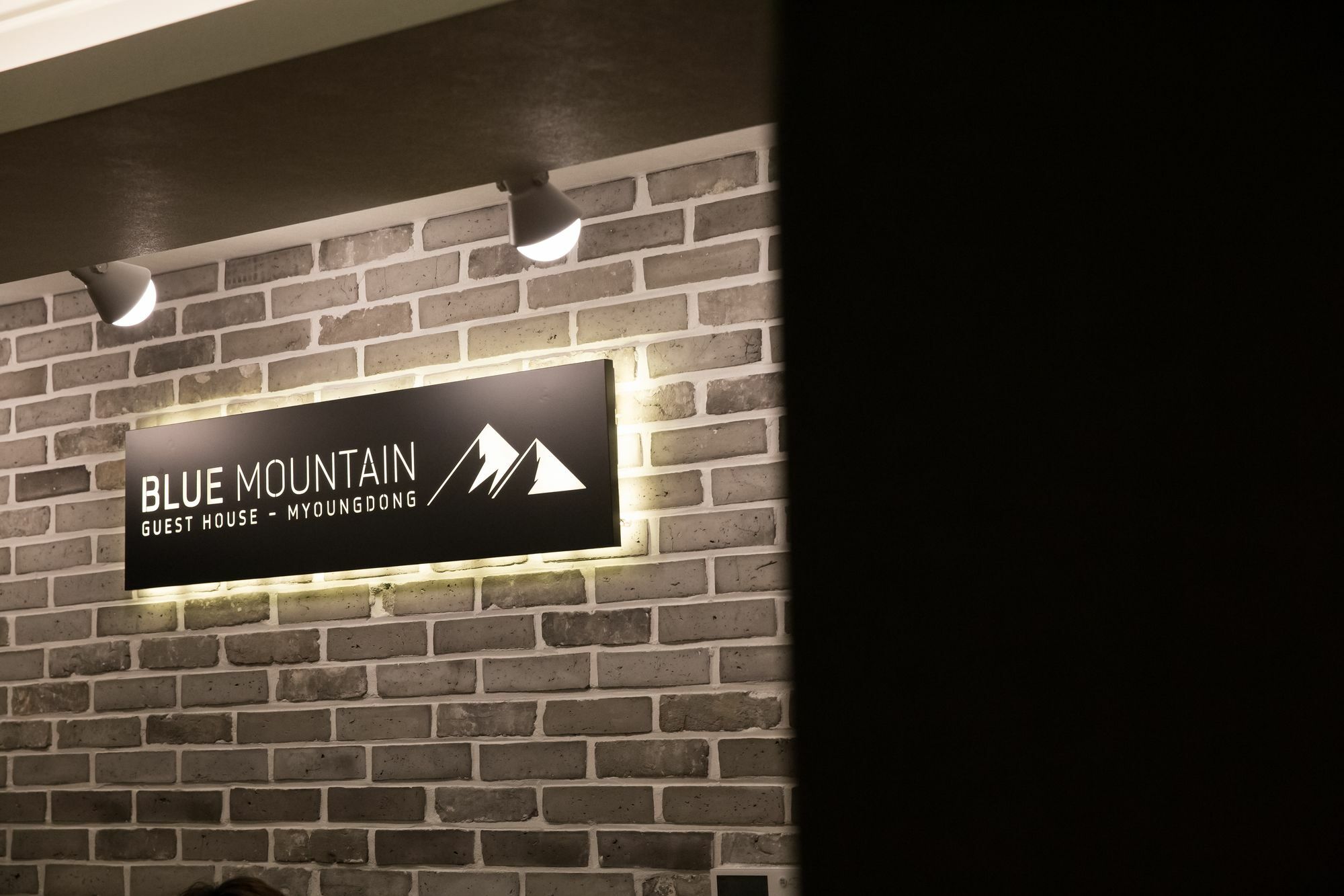 Guest house Blue Mountain Myeong-dong Seoul