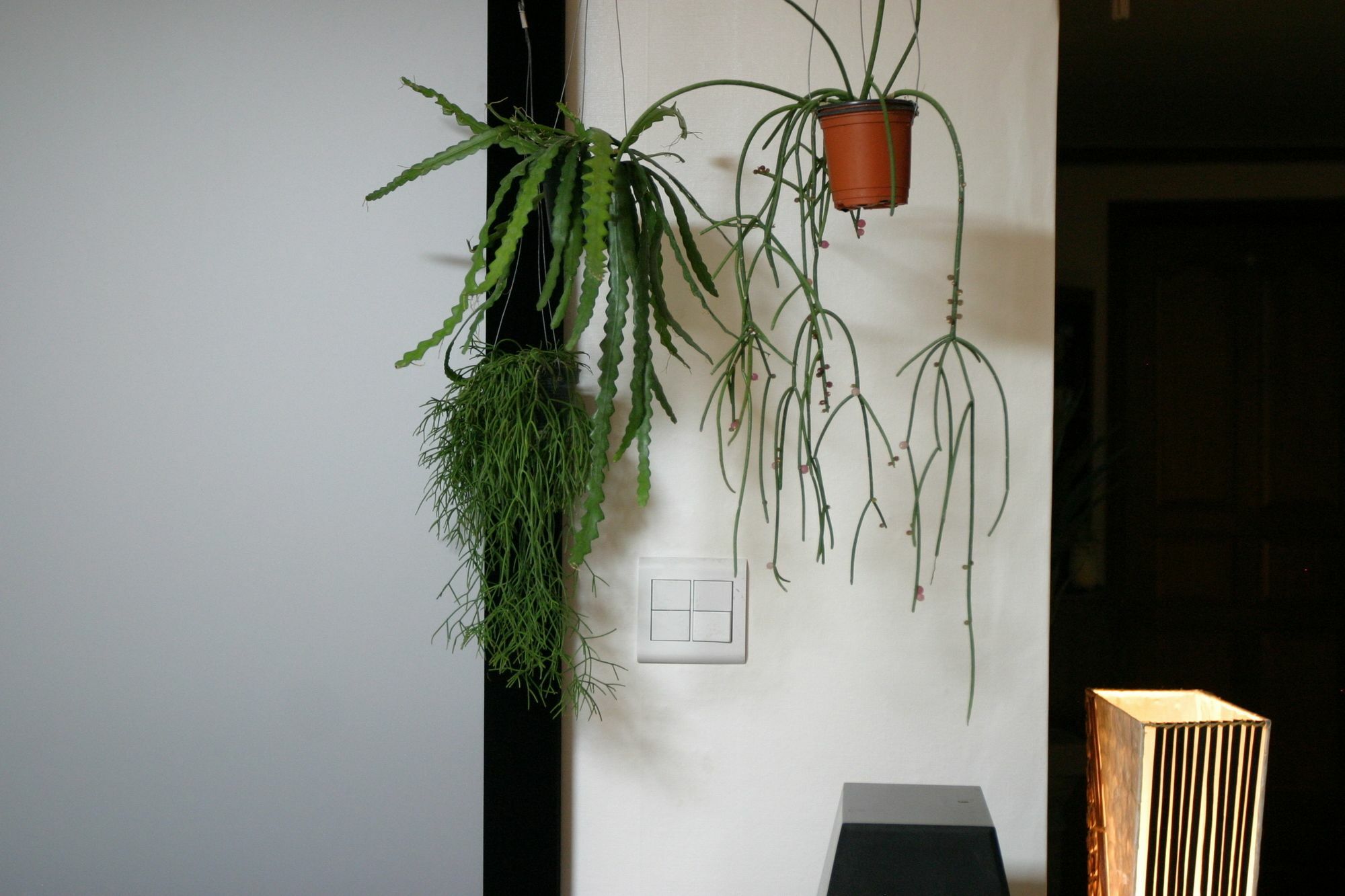 Refee House 3* Seul