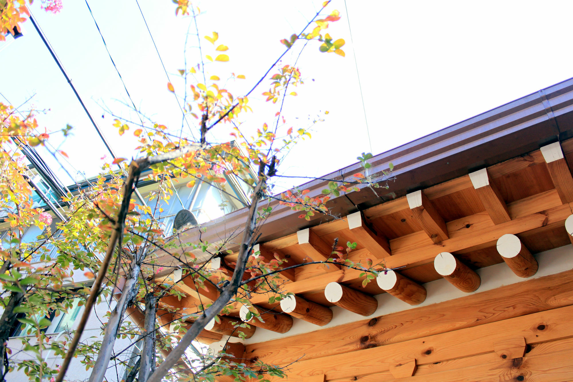 Guest house Hanok 24 Gyeongbokgung 2*