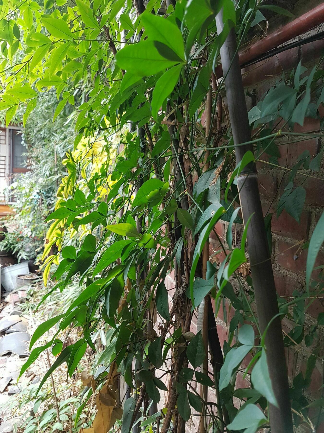 Gongsimga Hanok 2* Seoul