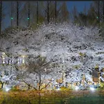 Hongdae Sky View Private Roof Garden House 2Br 2Qb 1Ssb Free Wifi Starbucks Capsule 외국인전용