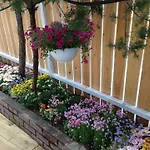 Sunshine Guesthouse