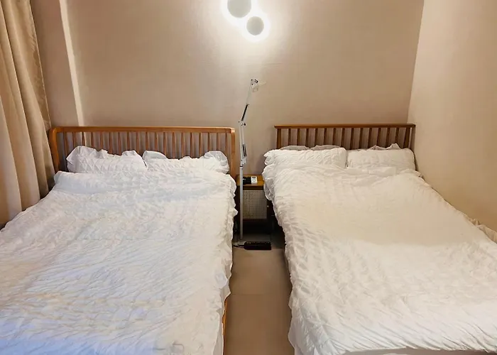 Hongdae Lolo Cozy