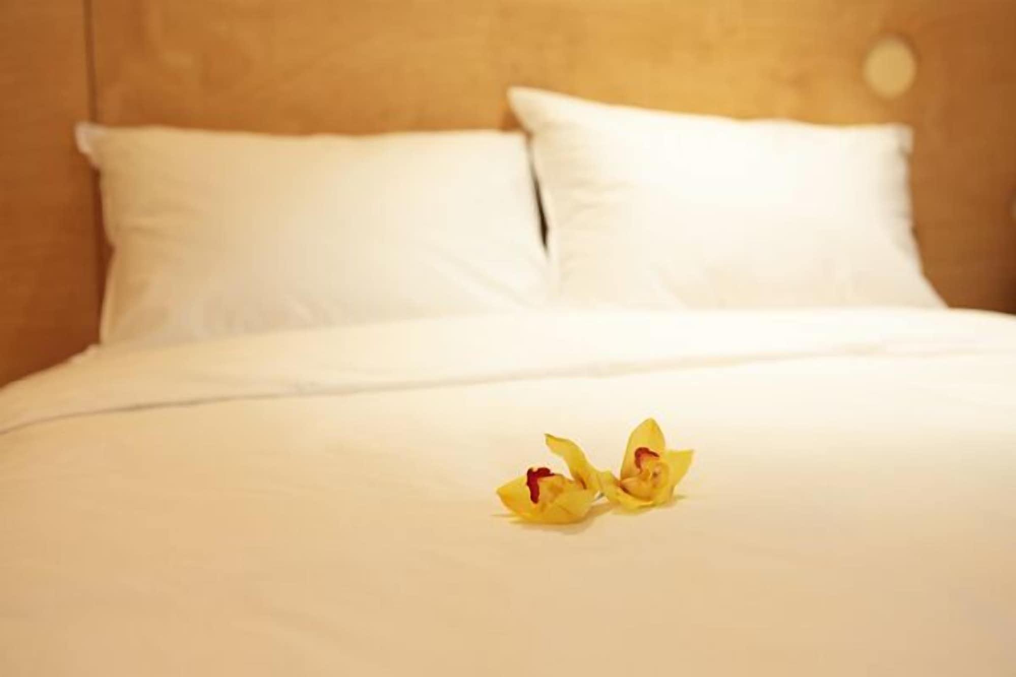 Dream House Hotel 2*