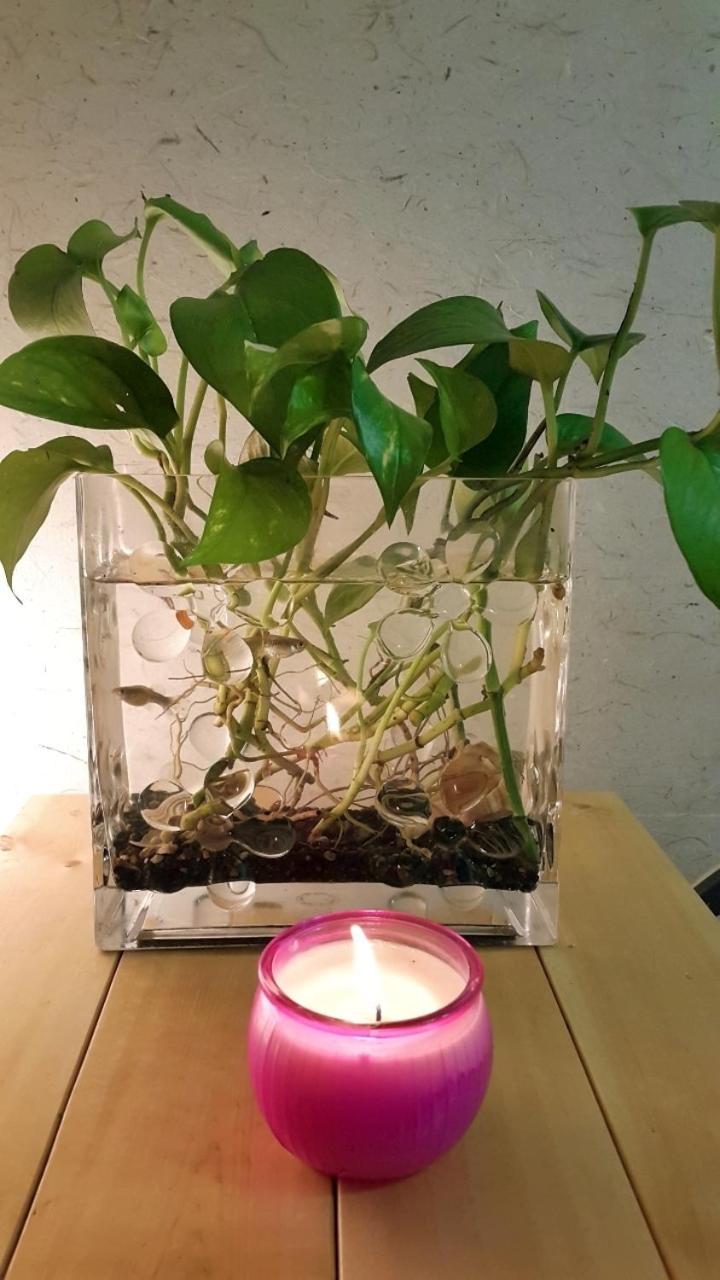 Lydia Craft Guest house Seoul