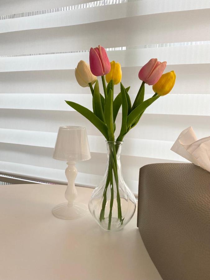 Near Shinchon Station Private House Apartment *