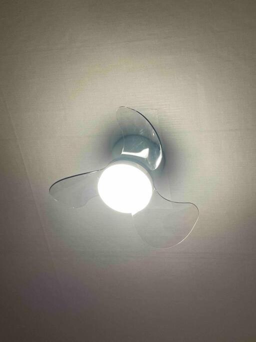 Aufn Orange Bulb