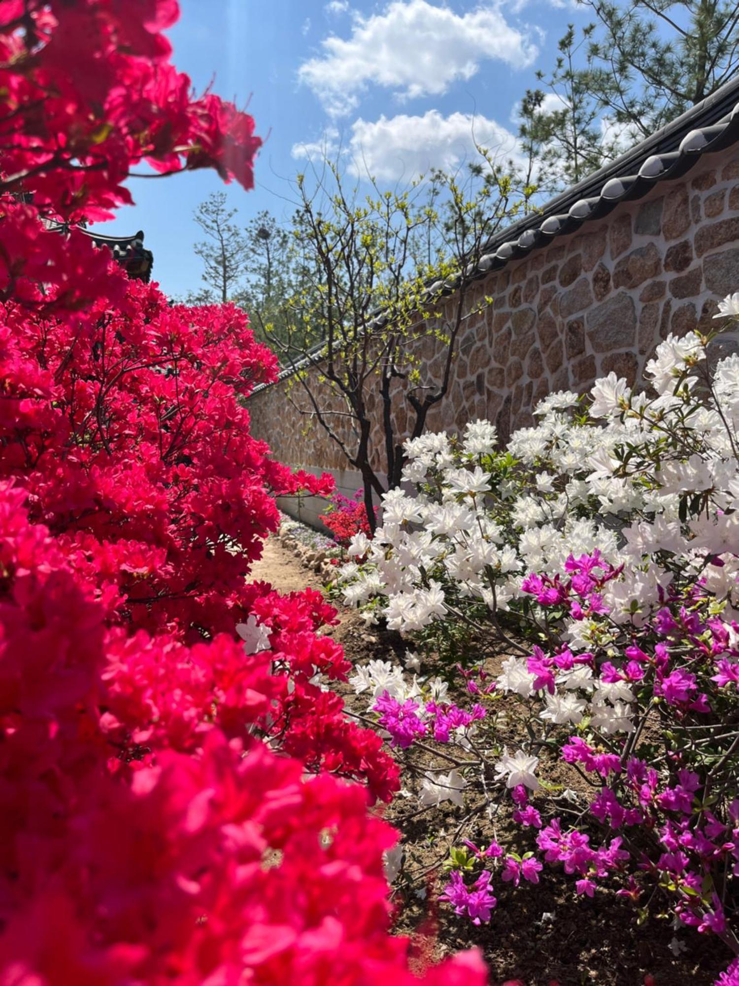 Sirakdang Hanok Seoul